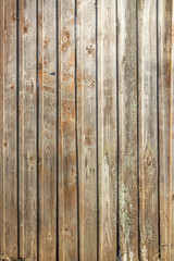  Background in grunge style. Wooden old fence with scuffs. From vertical boards of brown color. 