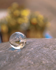 Glass ball on the stone. Sphere and flowers. Flowers reflected in a glass bowl. Nature concept