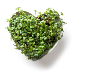 Obraz na płótnie Canvas Sprouted radish seeds microgreensin in box shaped heart. View from above. Concept healthy eating. Seed Germination at home.