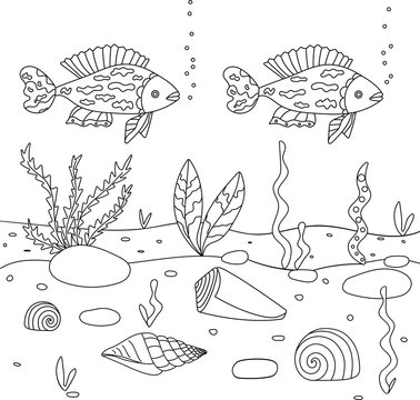 Ocean Floor Drawing Simple 7 130 Best Ocean Floor Vector Images Stock Photos Vectors Adobe Stock 7 130 best ocean floor vector images