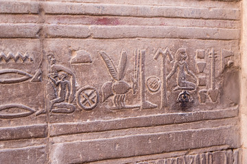 Kom Ombo Temple, also known as Temple of Sobek and Haroeris is in ruins, but it is imposing, especially for its location, which makes it stand out on the Nile in Egypt Africa