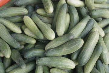 Cucumber harvest close up for patterns.