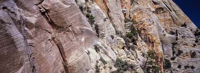 Path to Observation Point, Zion National Park