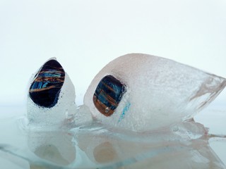 creative composition with melting pieces of ice and frozen stones in them in macro photo