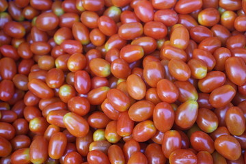 Tomato harvest close up for patterns.