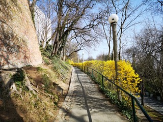 Fototapety na wymiar - Fototapeta24.pl