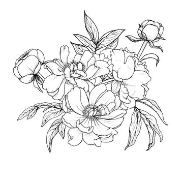 composition of garden flowers peonies and buds with leaves, monochrome vector illustration