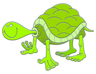 tortue