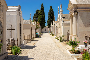 Fototapeta premium Alley on the cemetery during sunny day in Albufeira, Algarve, Portugal