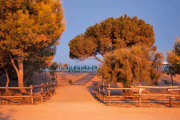 Beach of Club hotel Marina Beach near Orosei. Province of Nuoro. Sardinia. Italy