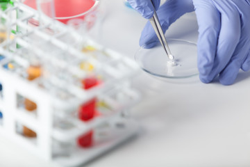 Lab. A lab technician in rubber gloves using tweezers prepares a sample for solubility testing