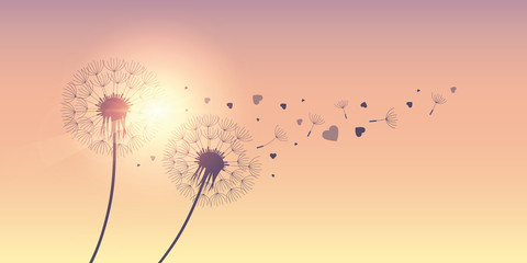 dandelion silhouette with flying seeds and hearts for valentines day vector illustration EPS10