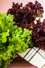 Fresh salad of green and red vet close-up in a wooden box. Food photography.
