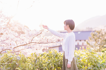 桜満開の公園を散歩する女性