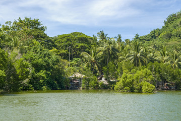 Fototapeta na wymiar Palms trees in a blue tropical lagoon. Apo Island, Philippines.