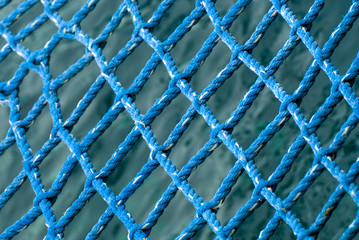  Fish net, Apo Island, Philippines.
