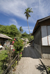 Fototapeta na wymiar Village house on Apo Island, Philippines.