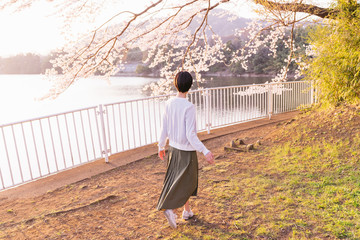 桜満開の公園を散歩する女性