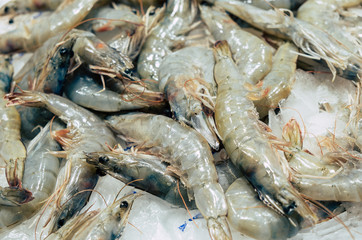Gray Prawn, shrimp, shellfish, on market stall. Mediterranean seafood. Closeup colorful photo