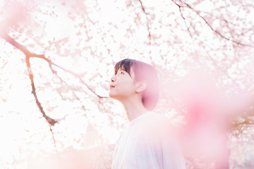 桜満開の公園を散歩する女性