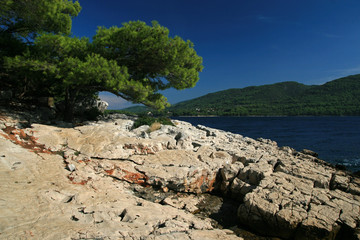 Coastline of Hvar island near Stari Grad, Croatia - obrazy, fototapety, plakaty