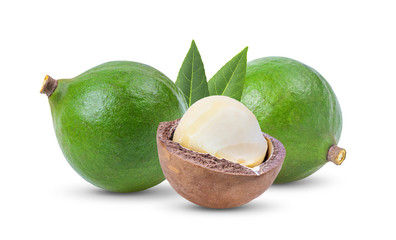 macadamia nuts with leaf isolated on white background