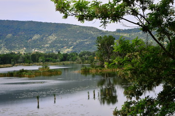 lake in forest