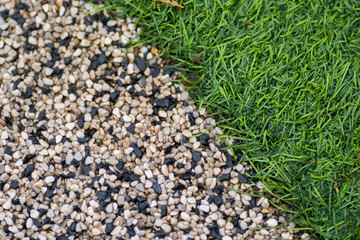 grass and stone Texture