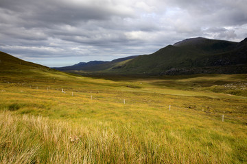 Fototapeta na wymiar Scotland, UK - August 11, 2018: Typical landscape of Scotland, Scotland, Highlands, United Kingdom