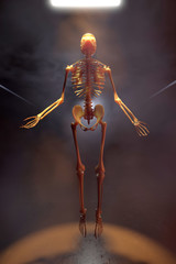 3D Illustration of a Skeleton ascending into the light
