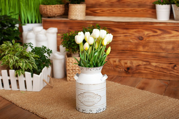 Bouquet White tulips flowers in a basket. interior of spring yard. Rustic terrace. Closeup of flower pots with plants. young plants growing in garden. Spring decoration, tulips in a basket. Easter	

