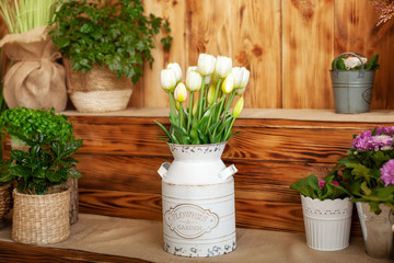 Bouquet White tulips flowers in a basket. interior of spring yard. Rustic terrace. Closeup of flower pots with plants. young plants growing in garden. Spring decoration, tulips in a basket. Easter	
