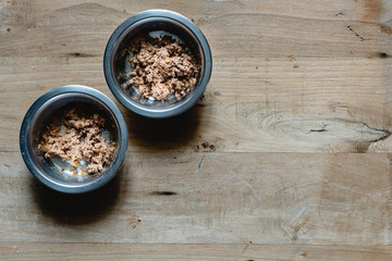 Steel cat feeder with pate and wooden bottom