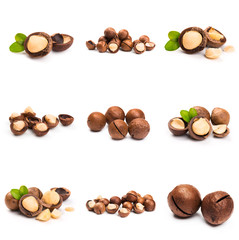 Macadamia nut with pieces and green leaves isolated on a white background