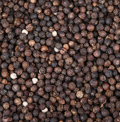 Black pepper a background