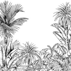 Black and white card with coconut palm trees and tropical lush foliage. - 334477117