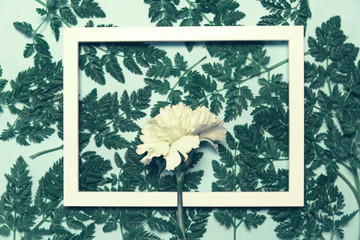 Creative layout made of carnation flower and green leaves with white frame.