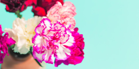 Beautiful bouquet of colorful carnations close up.
