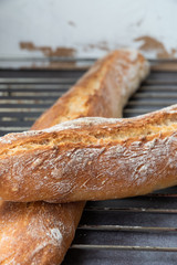 Freshly baked french baguette bread