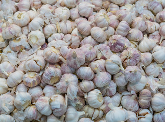 A lot of garlic in a box on the market. Autumn harvest sale. Top view, copy space
