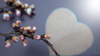 Beautiful spring flowers with heart on a blue background. Banner.