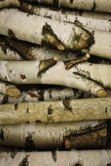 Pile of wood stock outdoor