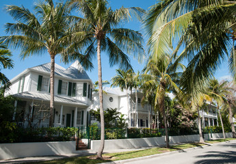 Tropical Residential Street in Key West - obrazy, fototapety, plakaty