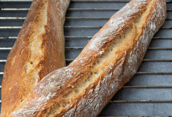 Freshly baked french baguette bread