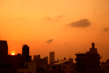 tokyo at beautiful romantic sunset with skyscrapers and rooftops