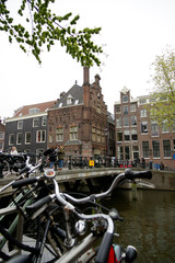 vacanza in Olanda Amsterdam e parco dei tulipani Keukenhof