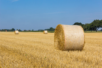 Fototapeta premium Heuballen im August