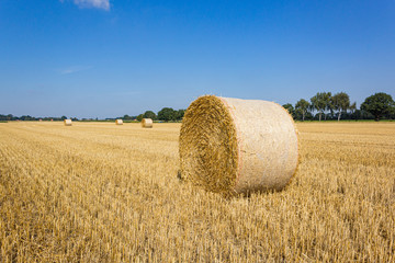Heuballen im August