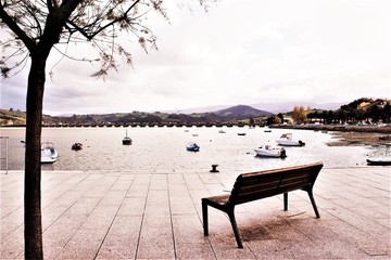 Wooden bench under tree in San Vicente de la Barquera landscape photo