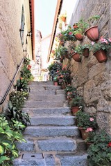 Fototapeta na wymiar Flowers pot beside the stairs and cement wall in Combarros village,Galicia,Spain photo S